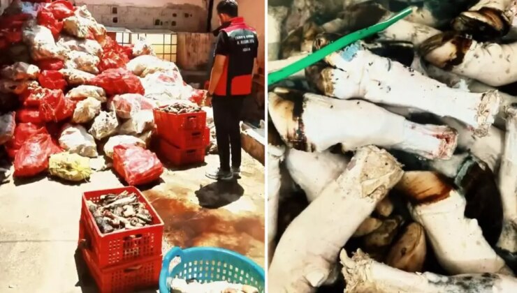 At ve eşek eti kullanımıyla gündeme gelen ilimizde bir skandal daha