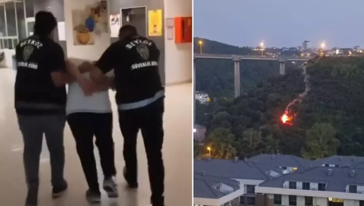 Beykoz’da işaret fişeği atarak orman yangınına sebep olan şahıs tutuklandı! İşte ilk ifadesi