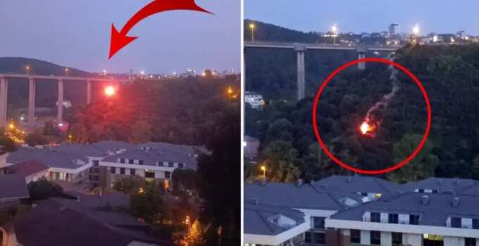 Beykoz’da ormanlık alanda yangın çıktı