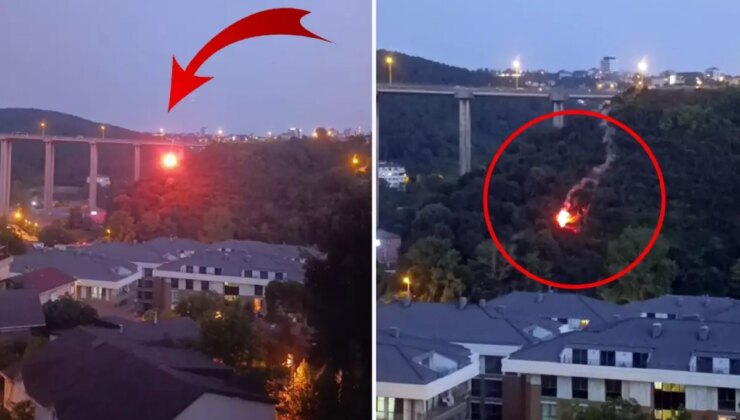 Beykoz’da ormanlık alanda yangın çıktı