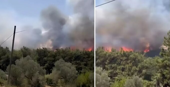Bir orman yangını da İzmir’de! Bornova’da başlayıp Buca’ya sıçradı