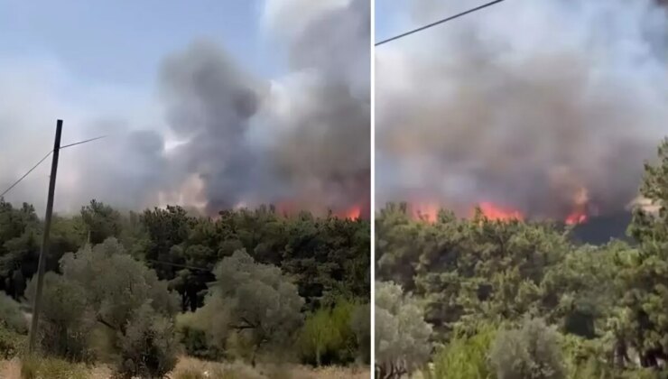 Bir orman yangını da İzmir’de! Bornova’da başlayıp Buca’ya sıçradı