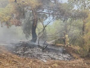 Çorum’da yıldırım nedeniyle ormanlık alanda iki yangın çıktı