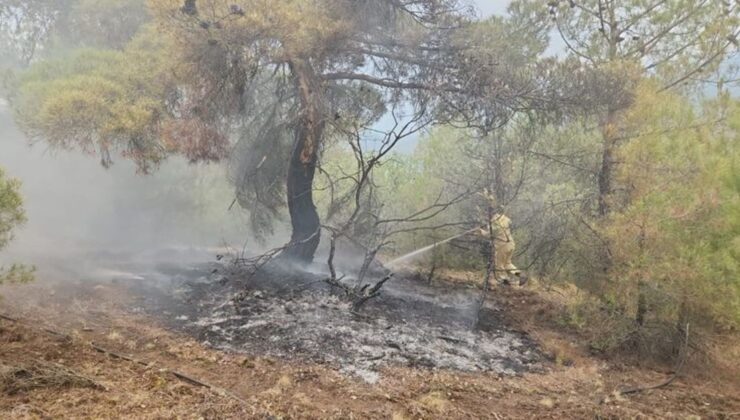 Çorum’da yıldırım nedeniyle ormanlık alanda iki yangın çıktı