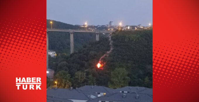 İstanbul’da orman yangını! Bir şüpheli gözaltına alındı