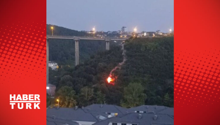 İstanbul’da orman yangını! Bir şüpheli gözaltına alındı