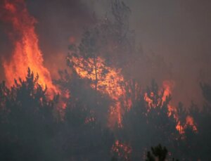 Karabük’te orman yangını 4. gününde şiddetlendi! Köyler bir bir boşaltılıyor