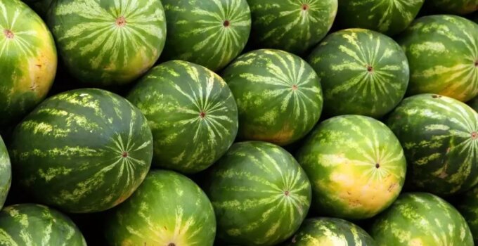 Karpuzdaki büyük tehlike: Bunu yapmadan sakın yemeyin