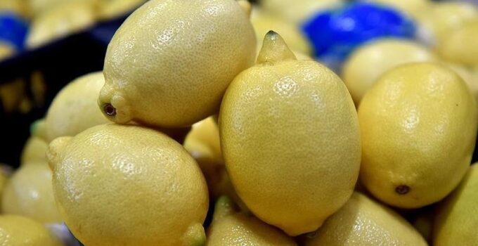 Limonu kiloyla almak hayal oldu! Pazarlarda tane fiyatı şoke etti