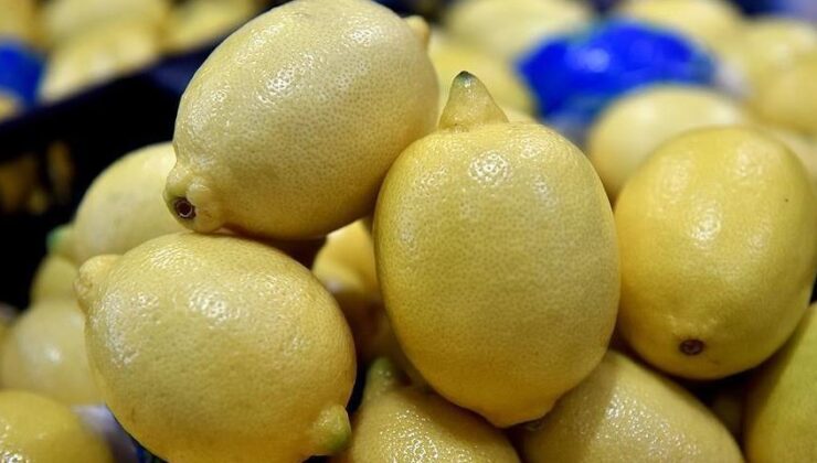 Limonu kiloyla almak hayal oldu! Pazarlarda tane fiyatı şoke etti