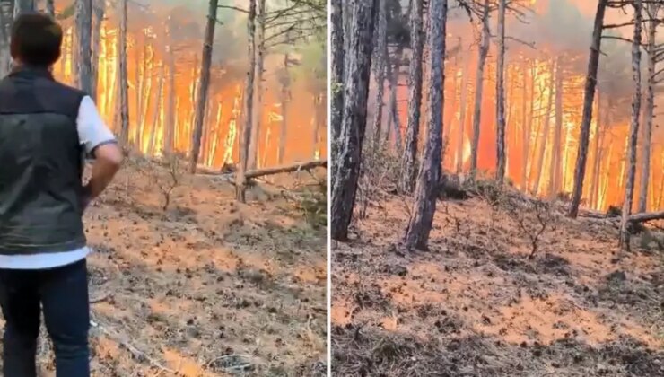Orman bölge müdürü ve ekibinin alevlerin arasında kaldığı anlar kamerada