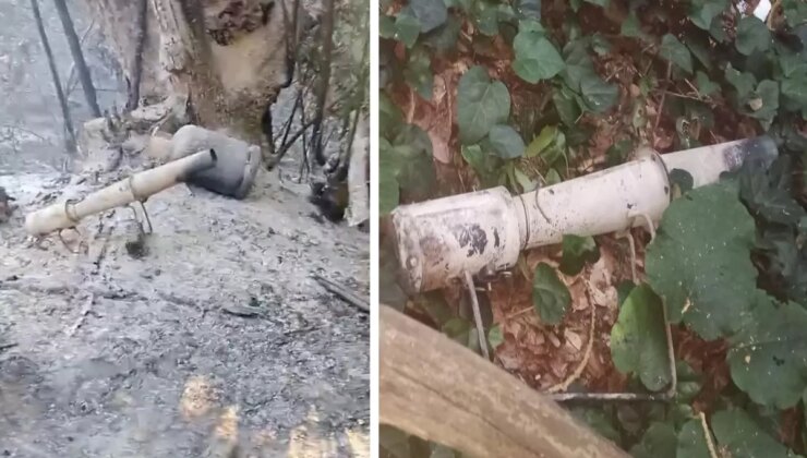 Sakarya’daki orman yangınının sebebi belli oldu: 2 gözaltı
