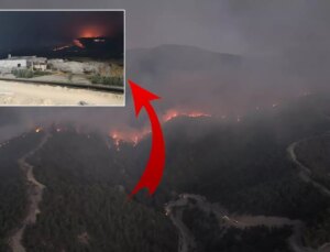 Sakarya’dan Bilecik’e sıçrayan yangın büyüyor! Akaryakıt istasyonu boşaltıldı