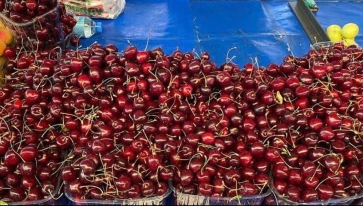 Tarımda iktidar sınıfta kaldı, kiraz zengine kaldı