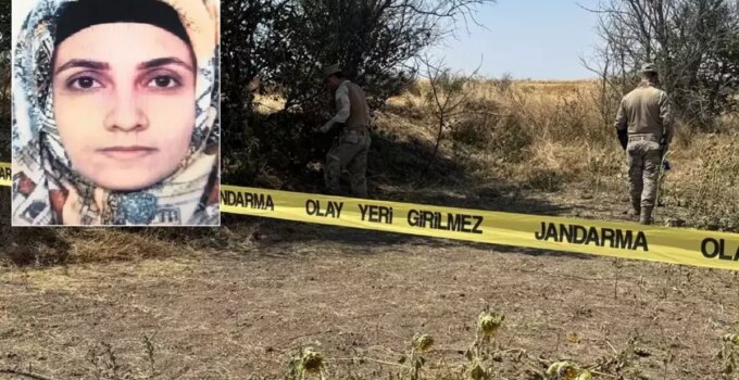 Tarlada başlayan yasak aşk, tarlada bitti
