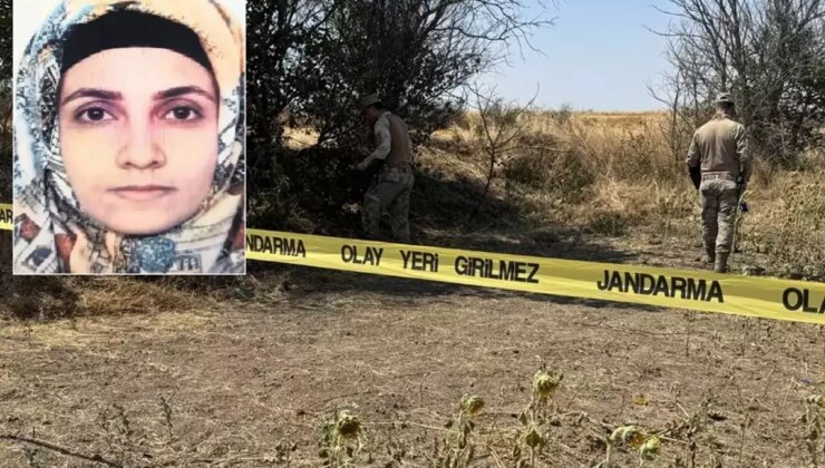 Tarlada başlayan yasak aşk, tarlada bitti