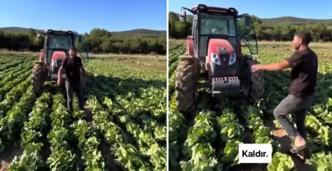 Tarlasındaki ürüne teklif edilen fiyat üreticiyi isyan ettirdi: Markette 30 TL’ye satıyorlar