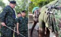 Tayland-Kamboçya savaşından ilginç görüntüler! Sınıra fil konuşlandırıldı