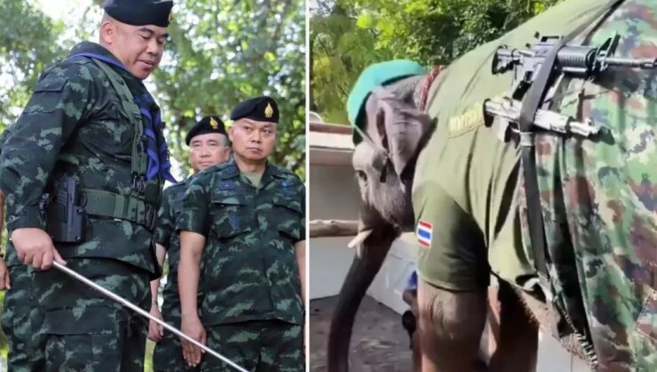 Tayland-Kamboçya savaşından ilginç görüntüler! Sınıra fil konuşlandırıldı