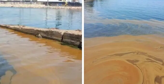 Yalova’da denizdeki kirliliğe jet inceleme! Numuneler TÜBİTAK’a gönderildi.