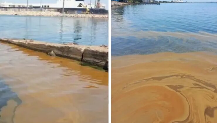 Yalova’da denizdeki kirliliğe jet inceleme! Numuneler TÜBİTAK’a gönderildi.