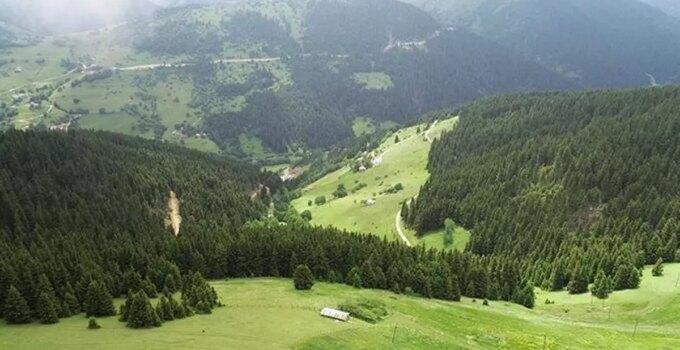 Yaylada arazi kavgası katliama dönüştü
