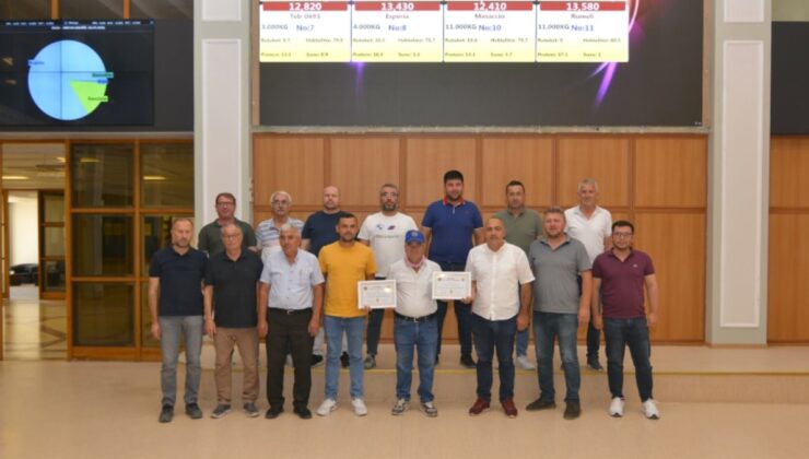 Yılın ilk ayçiçeği 30 liradan satıldı