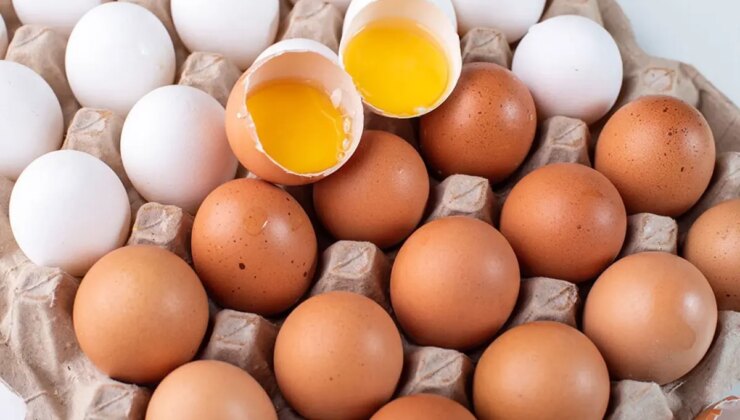 Yumurtalarda yeni dönem: Artık bu şekilde satılacak