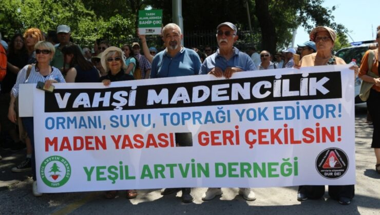Zeytinliklere ölüm fermanı