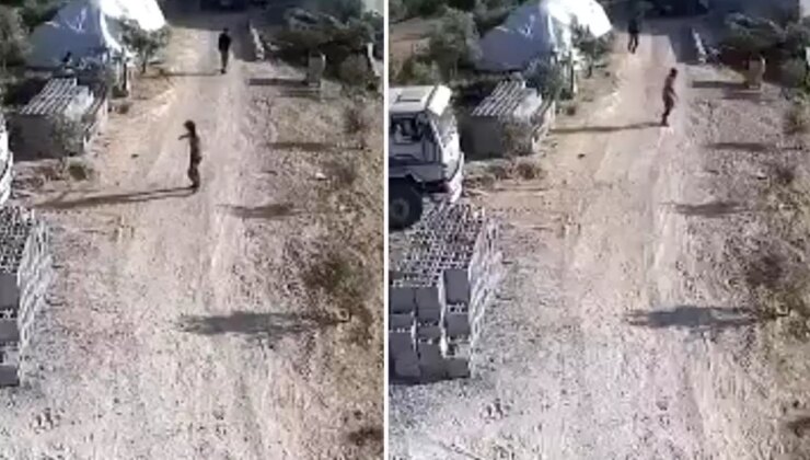 Amca ile yeğenin hayatını kaybettiği silahlı kavga kamerada