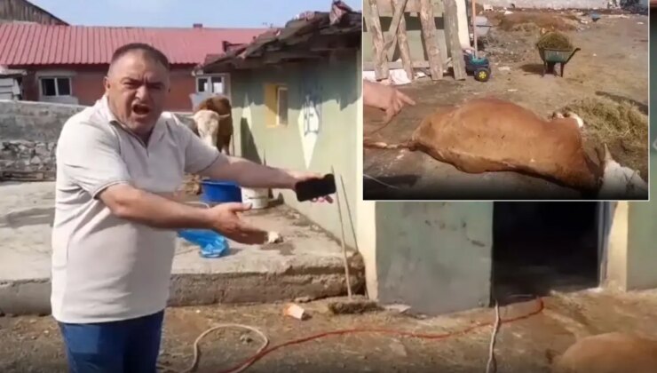 Ardahan’da durum vahim! 6 hayvanını kaybeden üretici ahırı gösterip isyan etti