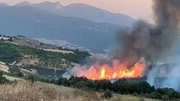 Balıkesir Susurluk’taki orman yangını kontrol altına alındı
