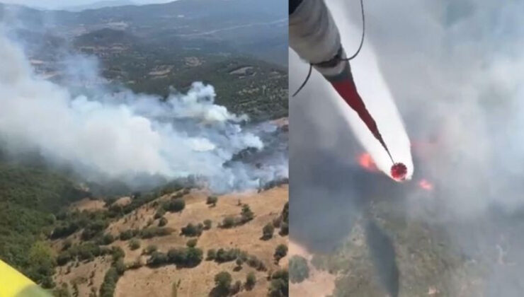 Balıkesir’de orman yangını