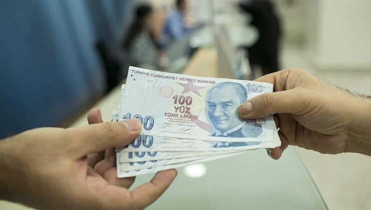 Bedavadan toplanıyor devlet adet başına 35 lira veriyor