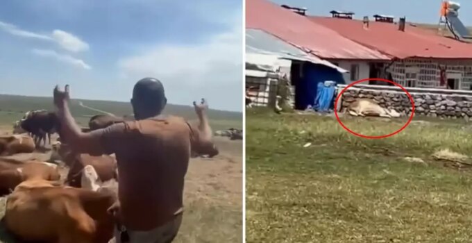 Bir ilimizde durum vahim! "Nerede bu yetkililer?" diyerek isyan etti: Allah sen yardım et