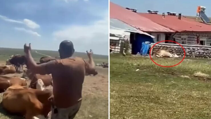 Bir ilimizde durum vahim! "Nerede bu yetkililer?" diyerek isyan etti: Allah sen yardım et