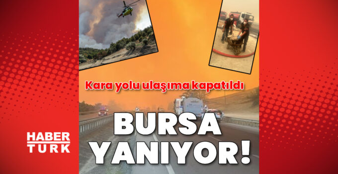 Bursa ve Hatay’da orman yangını!