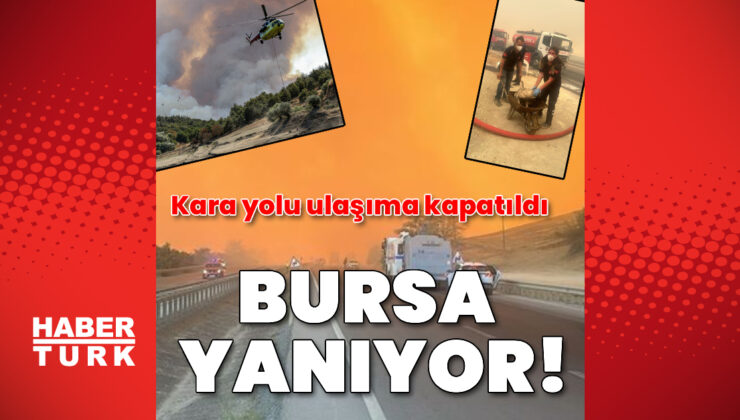 Bursa ve Hatay’da orman yangını!