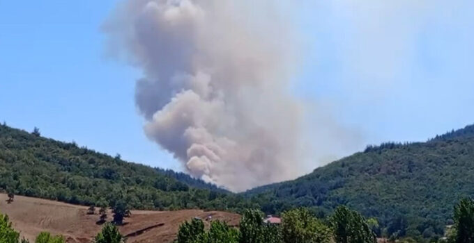 Bursa’da orman yangını