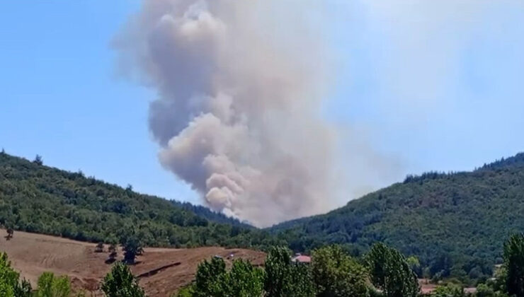 Bursa’da orman yangını