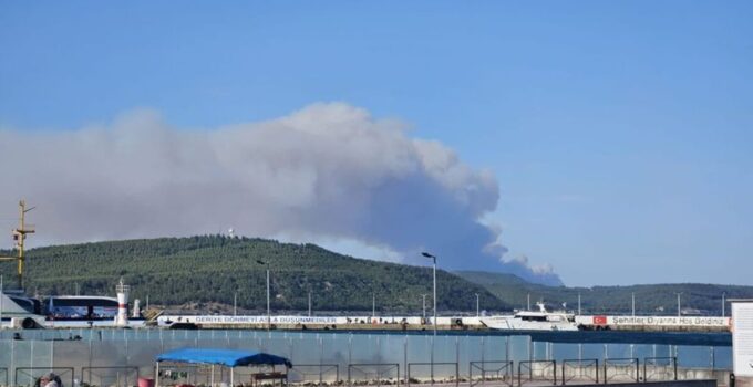 Çanakkale Gelibolu’da orman yangını