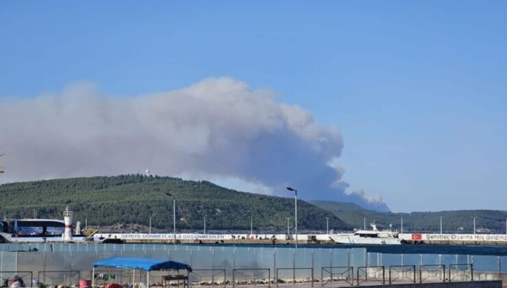 Çanakkale Gelibolu’da orman yangını