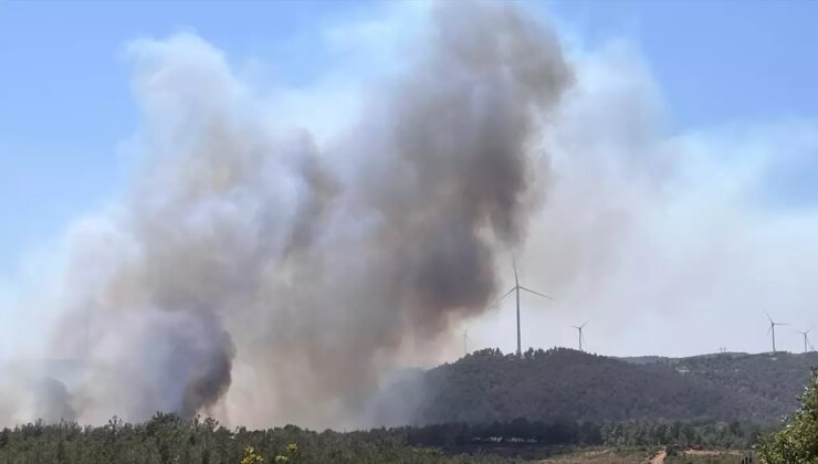 Çanakkale’de yine orman yangını! Kaz Dağları tehdit altında
