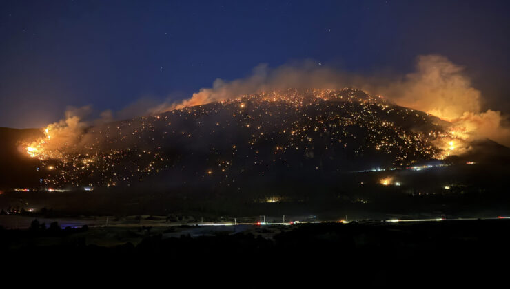 Denizli’nin Pamukkale ilçesinde orman yangını çıktı