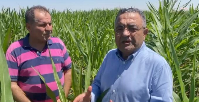 Diyarbakır’da çiftçiler ve CHP’li Tanrıkulu: AKP iktidarları döneminde çiftçiler fakirleşmiştir