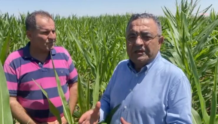 Diyarbakır’da çiftçiler ve CHP’li Tanrıkulu: AKP iktidarları döneminde çiftçiler fakirleşmiştir