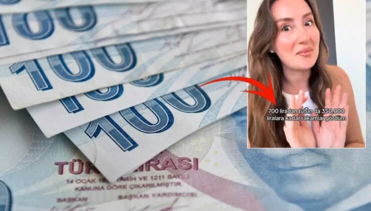 E-Devlet’te birikmiş paranız olabilir: 2 adımda bunu öğrenebilirsiniz