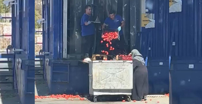 Görüntü tepk çekti: Zincir markette kasalarca domates çöpe döküldü