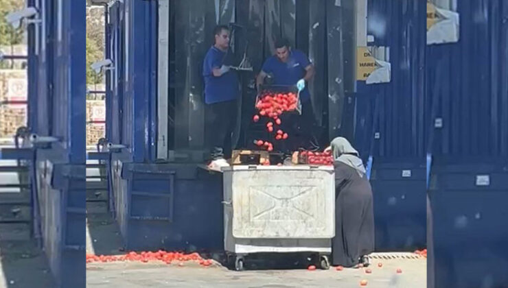 Görüntü tepk çekti: Zincir markette kasalarca domates çöpe döküldü