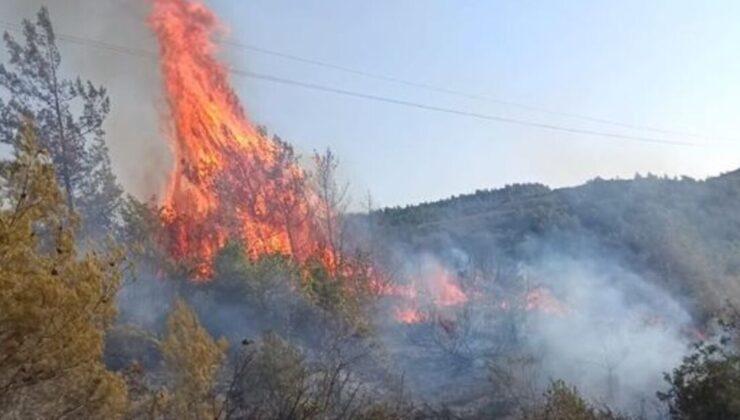 Hatay’da ormanlık alanda yangın çıktı